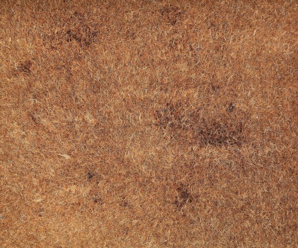 tapico-tapis-brosse-coco-naturel-personnalisé-ou-uni-sur-mesure-pour-professionnels